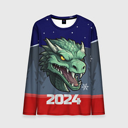 Мужской лонгслив Злой дракон 2024