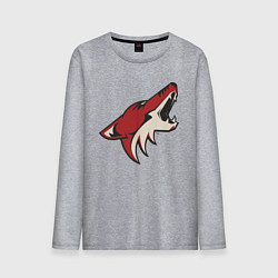 Лонгслив хлопковый мужской Phoenix Coyotes, цвет: меланж