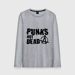 Мужской лонгслив Punks not dead
