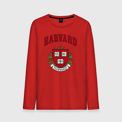 Мужской лонгслив Harvard university