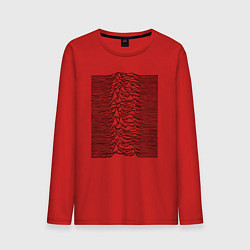 Мужской лонгслив Unknown Pleasures