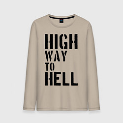 Мужской лонгслив High way to hell