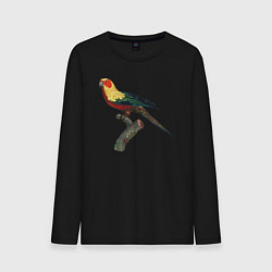 Лонгслив хлопковый мужской Попугай аратинга, цвет: черный