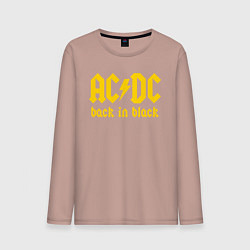 Мужской лонгслив ACDC BACK IN BLACK