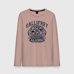 Мужской лонгслив Доктор Кто, Галлифрей