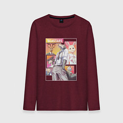 Мужской лонгслив Beastars