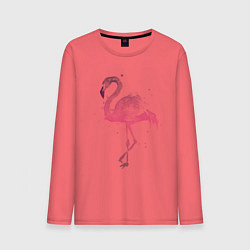 Мужской лонгслив Flamingo