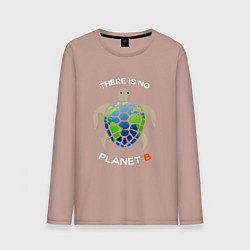 Мужской лонгслив There's no planet B