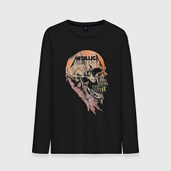 Мужской лонгслив Metallica art 04