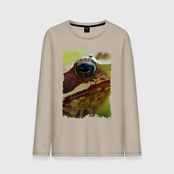 Мужской лонгслив Глаз лягушки