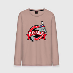 Мужской лонгслив Brevard County Manatees - baseball team