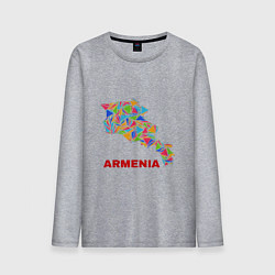 Мужской лонгслив Armenian Color