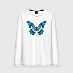 Лонгслив хлопковый мужской Blue butterfly синяя бабочка, цвет: белый
