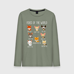 Лонгслив хлопковый мужской Лисы Мира, цвет: авокадо