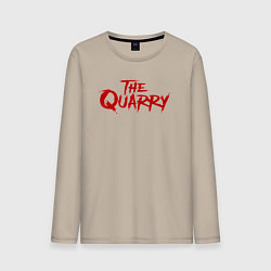 Мужской лонгслив The Quarry logo