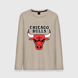 Лонгслив хлопковый мужской Chicago Bulls, цвет: миндальный