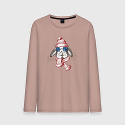 Мужской лонгслив Кролик в шапке и в очках