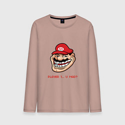 Мужской лонгслив Mario player 1