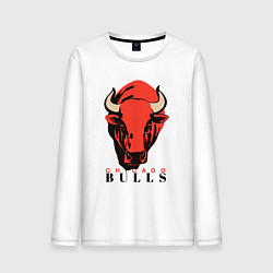 Мужской лонгслив Chicago bull