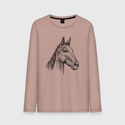 Лонгслив хлопковый мужской Голова коня, цвет: пыльно-розовый