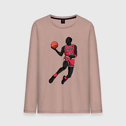 Мужской лонгслив Retro Jordan