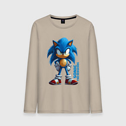 Мужской лонгслив Sonic - poster style