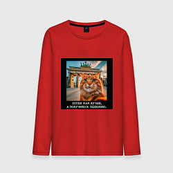 Мужской лонгслив Рыжий кот: хотел как лучше получилось идеально