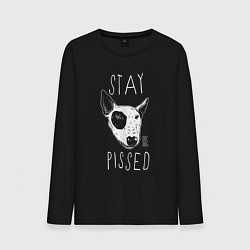 Лонгслив хлопковый мужской Stay dog pissed, цвет: черный