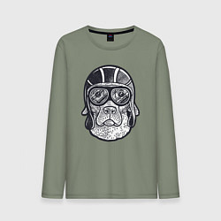 Лонгслив хлопковый мужской Пёс авиатор, цвет: авокадо