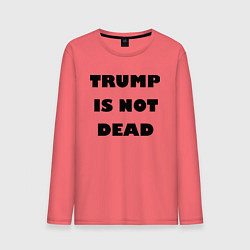 Мужской лонгслив Trump is not dead - motto