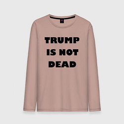 Мужской лонгслив Trump is not dead - motto