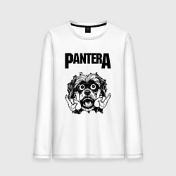 Мужской лонгслив Pantera - rock dog