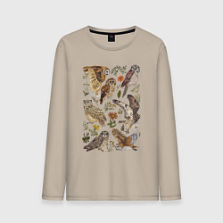 Лонгслив хлопковый мужской Разные совы и цветы, цвет: миндальный