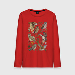 Лонгслив хлопковый мужской Разные совы и цветы, цвет: красный