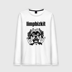 Мужской лонгслив Limp Bizkit - rock dog