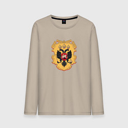 Мужской лонгслив Герб РФ щит