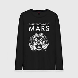 Мужской лонгслив Thirty Seconds to Mars rock dog
