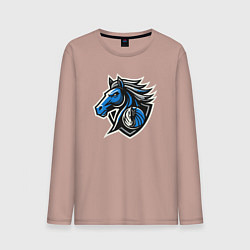 Мужской лонгслив Mavericks team