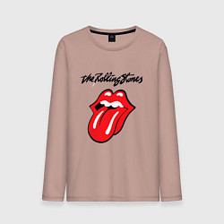 Мужской лонгслив Rolling Stones - logo