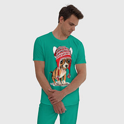 Пижама хлопковая мужская Чихуахуа в шапочке, цвет: зеленый — фото 2