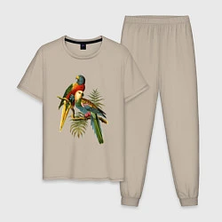 Мужская пижама Тропические попугаи