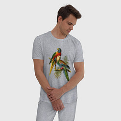 Пижама хлопковая мужская Тропические попугаи, цвет: меланж — фото 2