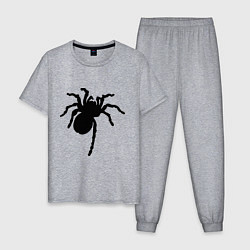 Мужская пижама Черный паук