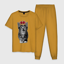 Пижама хлопковая мужская Meow kitten, цвет: горчичный