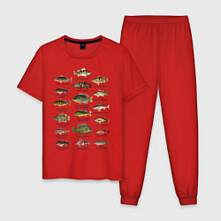 Пижама хлопковая мужская Разновидность окуней, цвет: красный