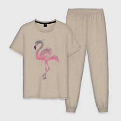 Мужская пижама Flamingo