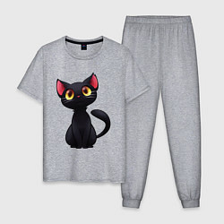 Мужская пижама Черный котенок