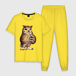 Пижама хлопковая мужская Мудрый филин, цвет: желтый