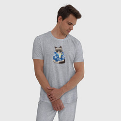 Пижама хлопковая мужская Кот на отдыхе, цвет: меланж — фото 2