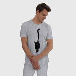 Пижама хлопковая мужская Черный кот тушью, цвет: меланж — фото 2